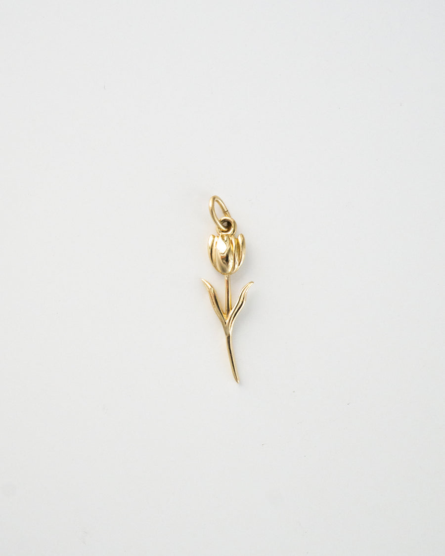 solid gold charm