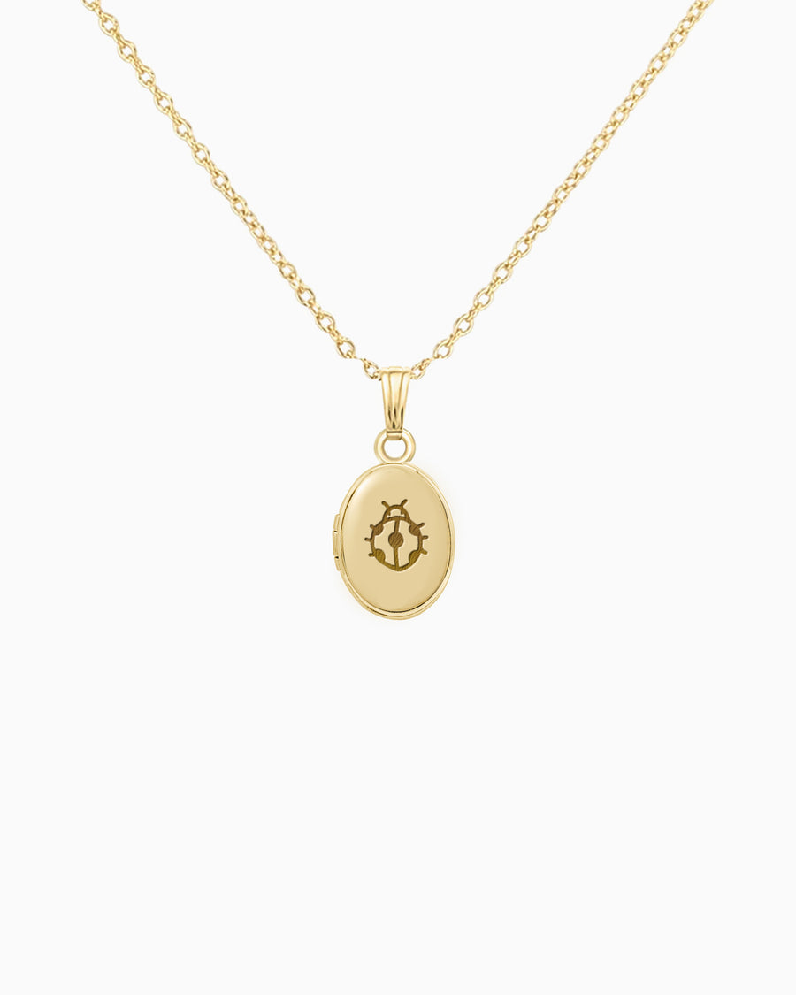 Ladybug Oval Locket