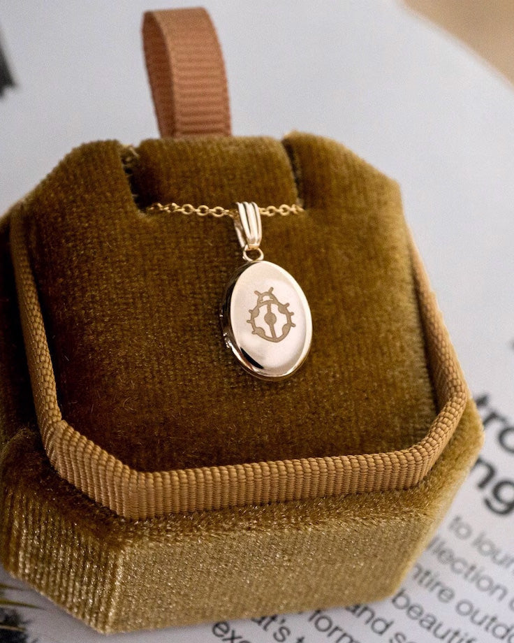 Ladybug Oval Locket